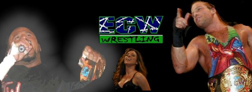 ecw.jpg (21274 bytes)